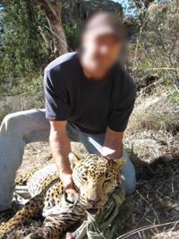 Sr. Reporter: What Thorry Smith's jaguar admission means, and might mean