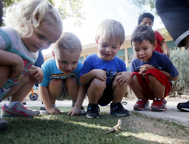 Victoria Steele: Tucson's children deserve a high-quality early education