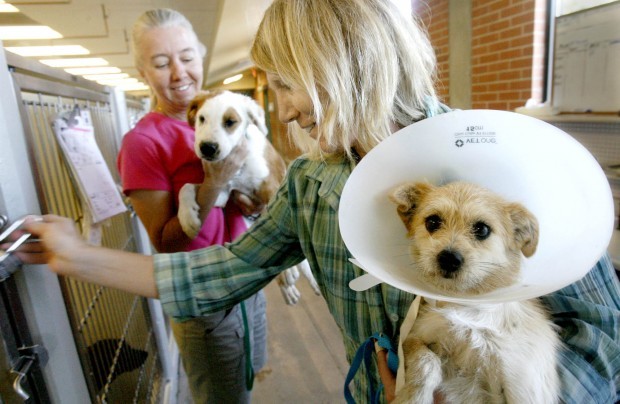 Photo gallery: Pima Animal Care Center's Off-Site Adoption ...