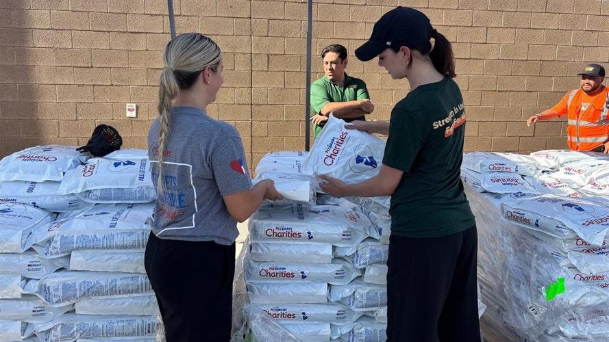 How to keep pets fed and families together this September and beyond