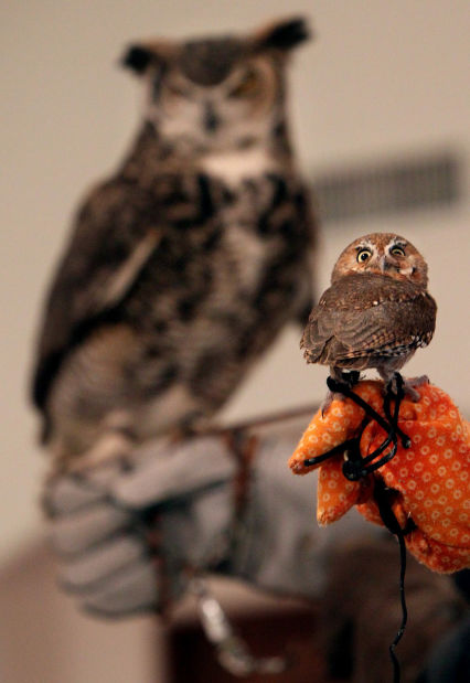 Artwalk exhibits a natural flair