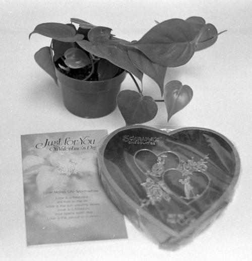 Tucson Time Capsule: Romance on the Cheap, '70s style  