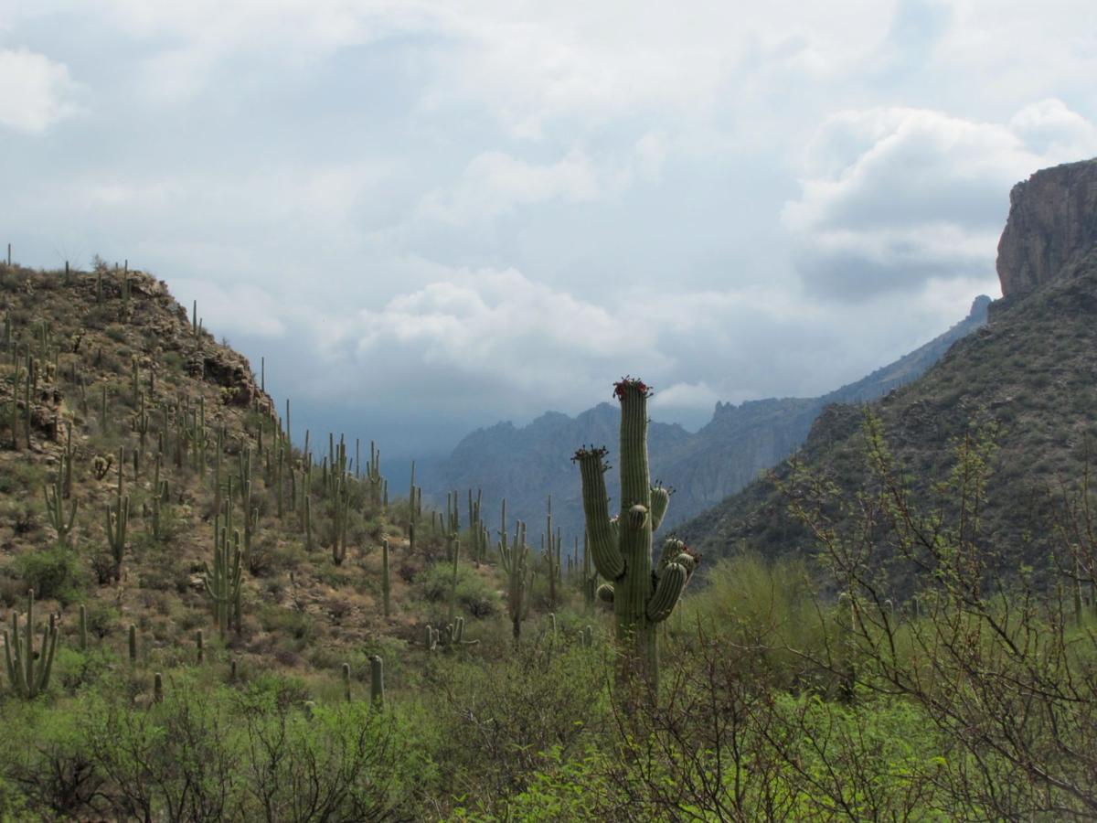 Monsoon clouds