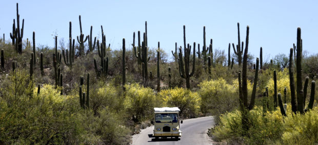 Sabino Canyon