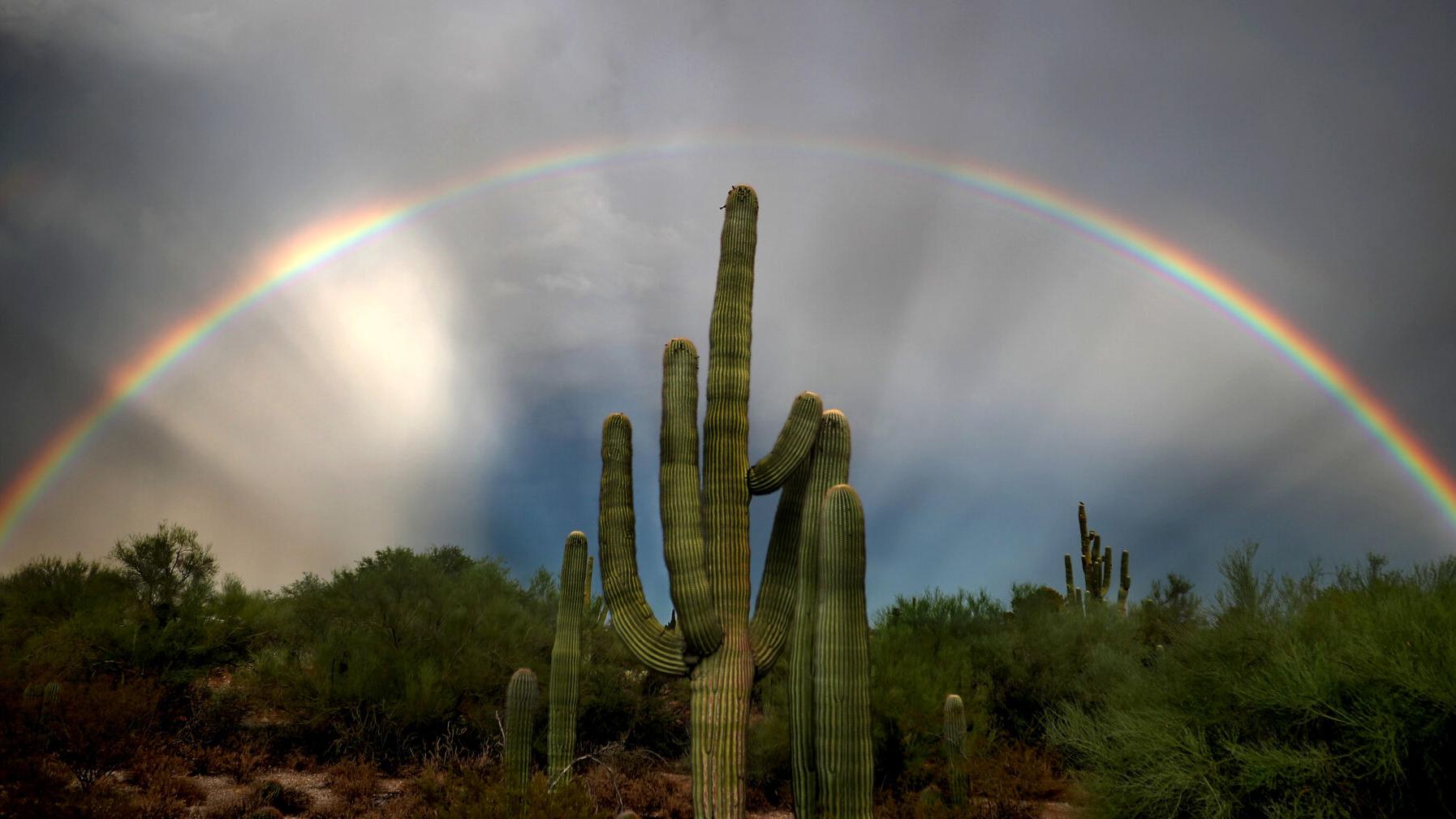 Here's why Tucson's 2024 monsoon likely to be hotter, drier - Vimarsana News