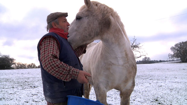 This week's Arizona International Film Festival schedule    