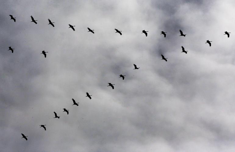 2017 Wings Over Willcox