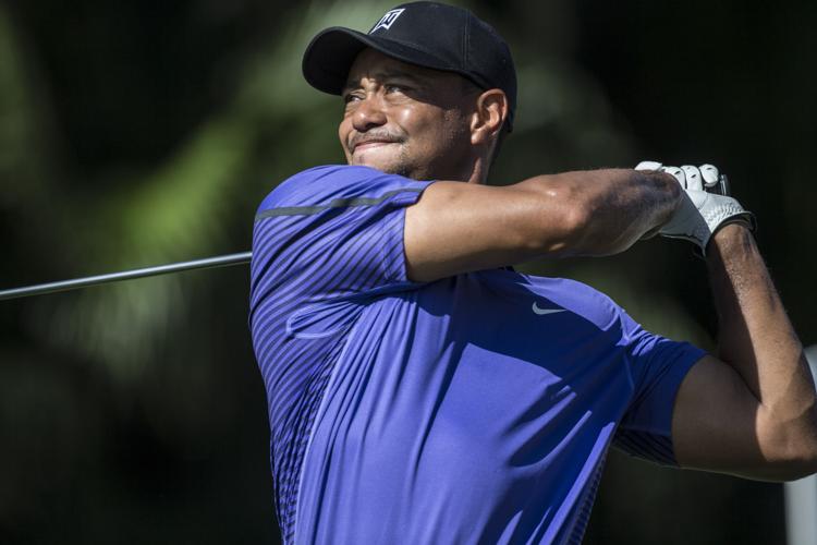 2014: Tiger Woods