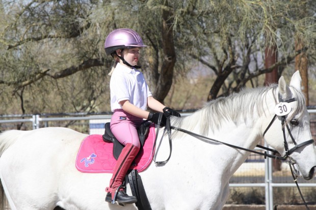 Dressage's disciplines   