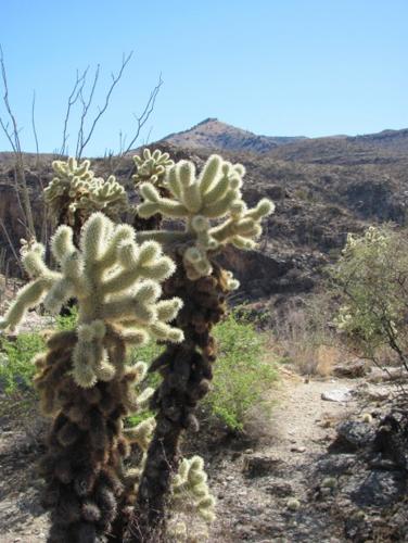 Milagrosa measures up   