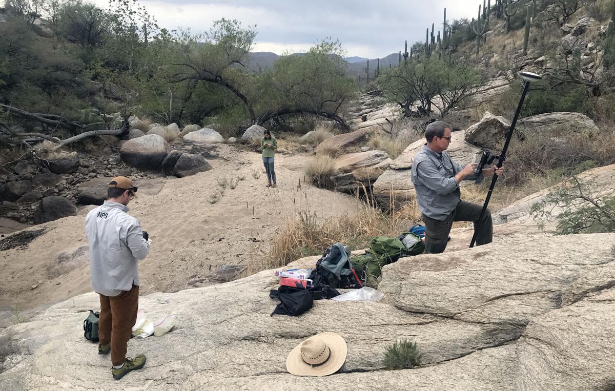 Perennial springs in the Rincon Mountains