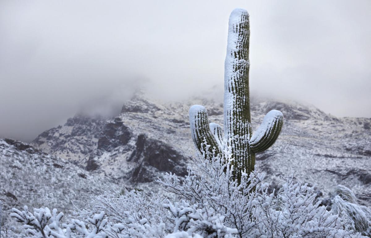 Rainy Christmas possible in Tucson