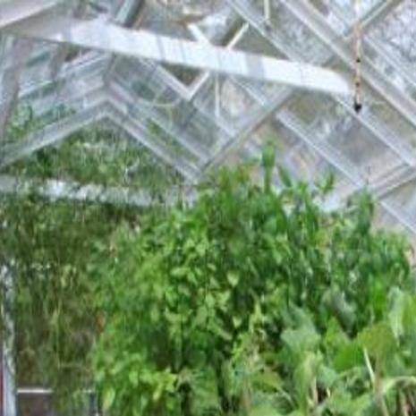 Tucson S Aquaponics Community In The Spotlight Tucson Gardens Tucson Com