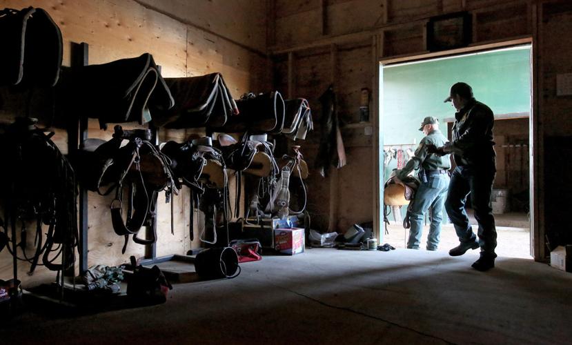 U.S. Border Patrol horse unit