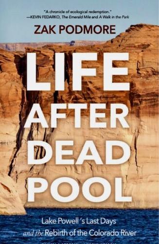 Life After Dead Pool