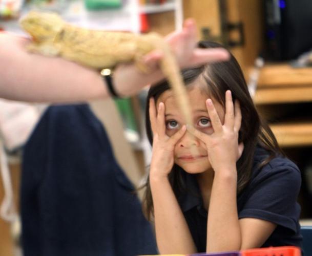 Programa de Reid Park Zoo lleva animales a las escuelas    