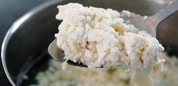 Homemade mozzarella  
