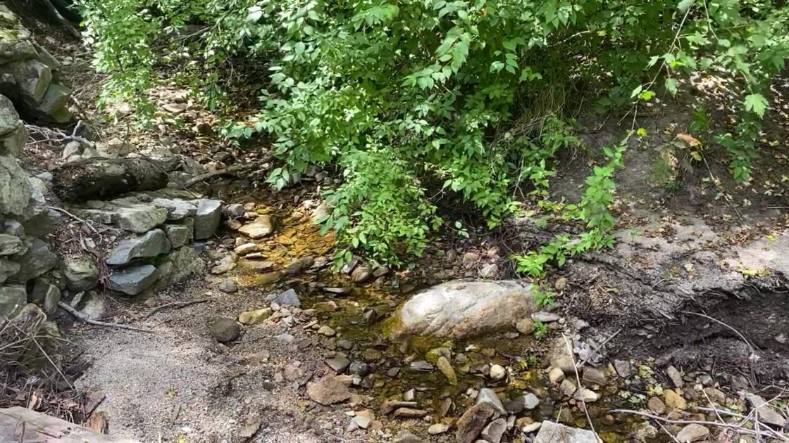 Water flowing at Sabino Creek, above the village of Summerhaven
