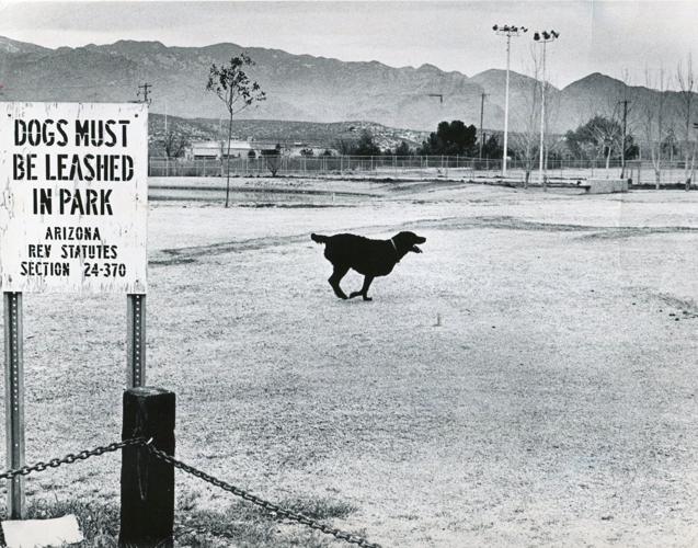 Flaunting authority (1979)