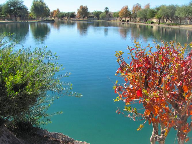 The secret to Sahuarita Lake's dazzlingly blue water