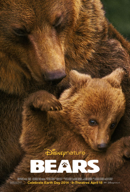 'Bears'
