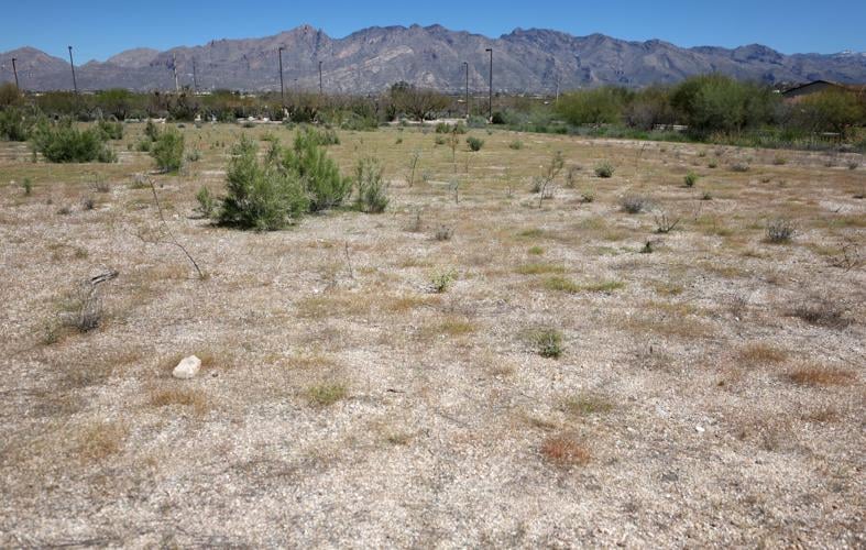 Development project could be 'front door' for Chuck Huckelberry Loop