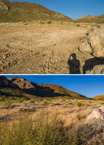 Waterman Restoration Interpretive Site, 2010, 2021