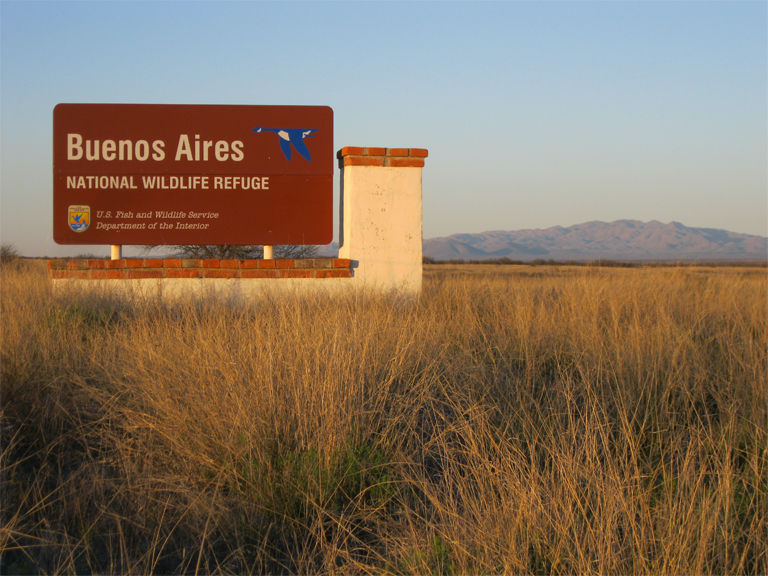 Buenos Aires Refuge