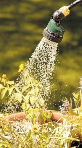 Quench plants' thirst  