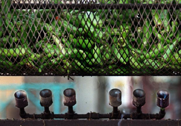 Chiles roasting on a drum