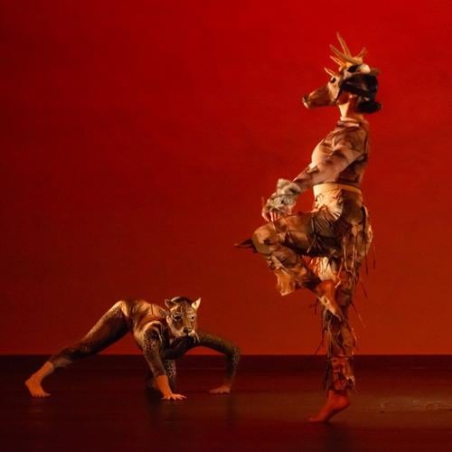 ‘Lost Roots’: A Sky Islands-Inspired Choreography