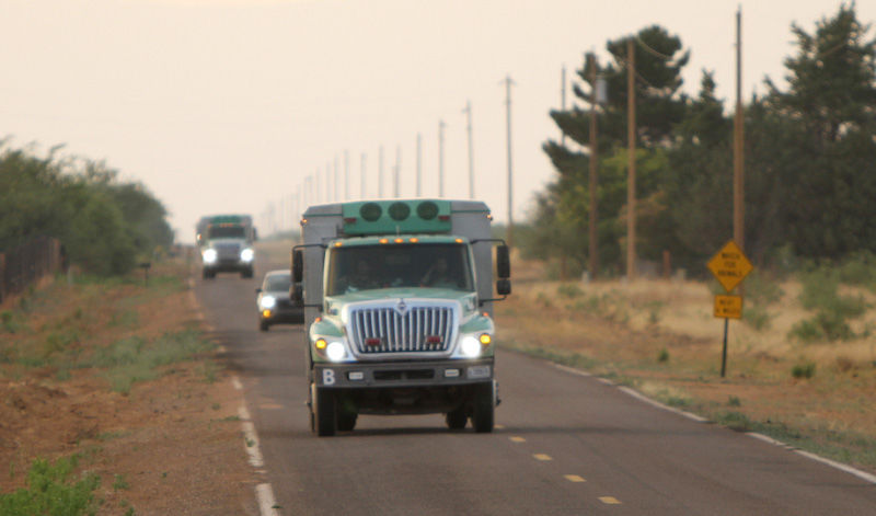 The Dragoon Fire and Lizard Fire