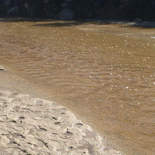 Catalina State Park: Fine beachfront property