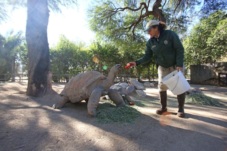 He's also pretty old