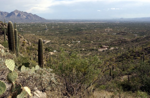 Tortolita Park plan getting unstuck  