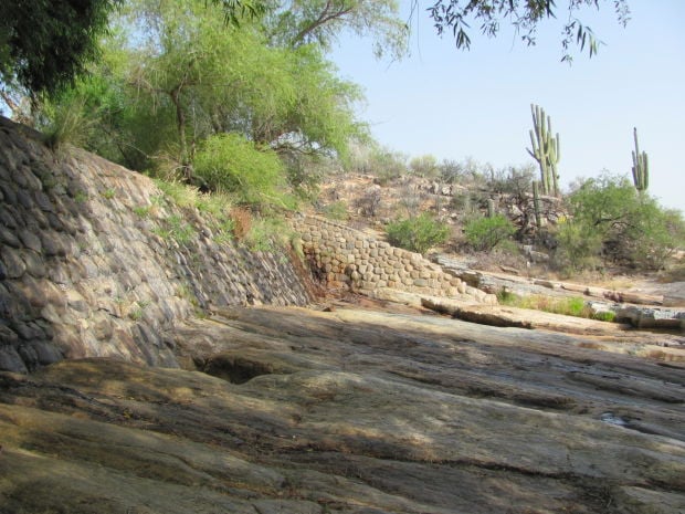 Sabino Creek