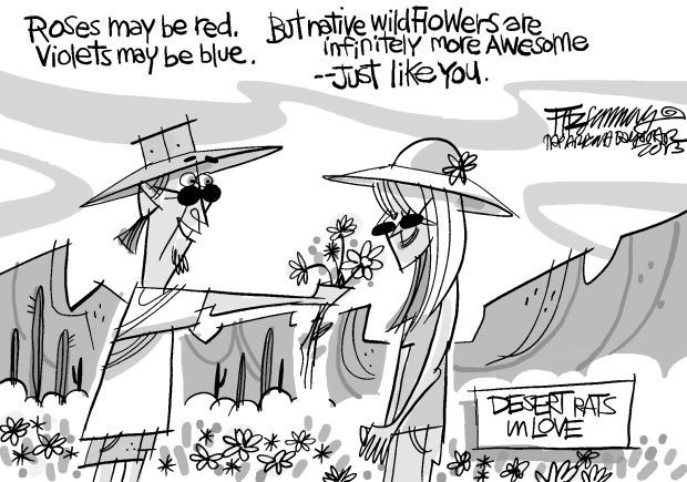 Fitz's last laugh: Desert rats in love