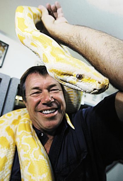 'Snakes on a Plane' for real  