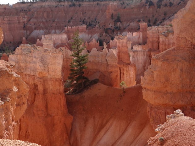 National Park Travel Photo Contest entries