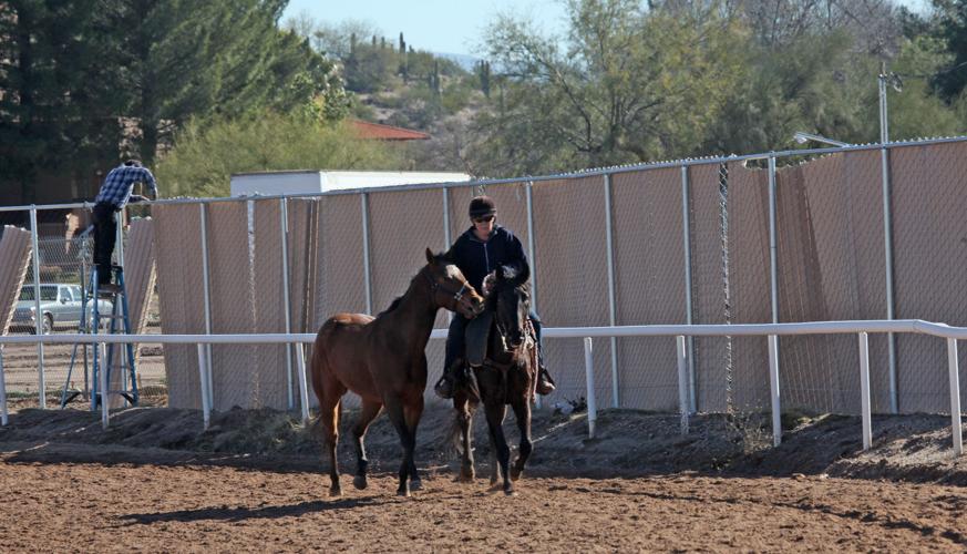 Rillito Park's new season