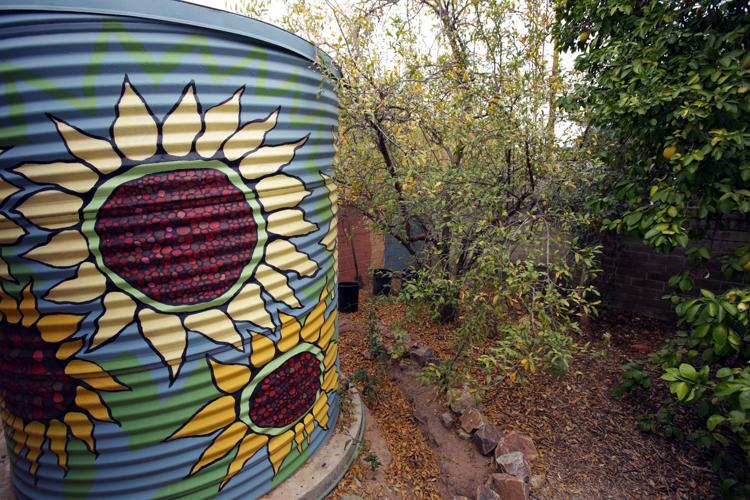 Rainwater cistern