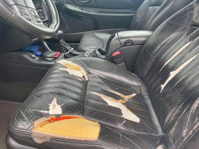 Jerry Davich's front seat