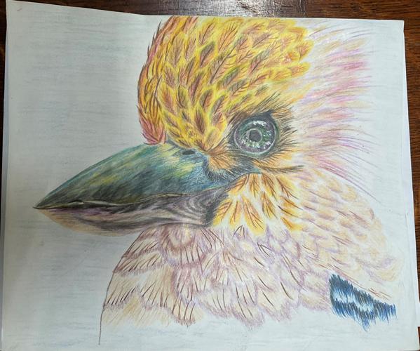 Young artists will be celebrated at the Tucson Festival of Books