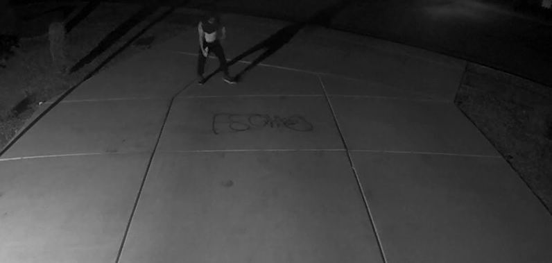 Sahuarita vandal