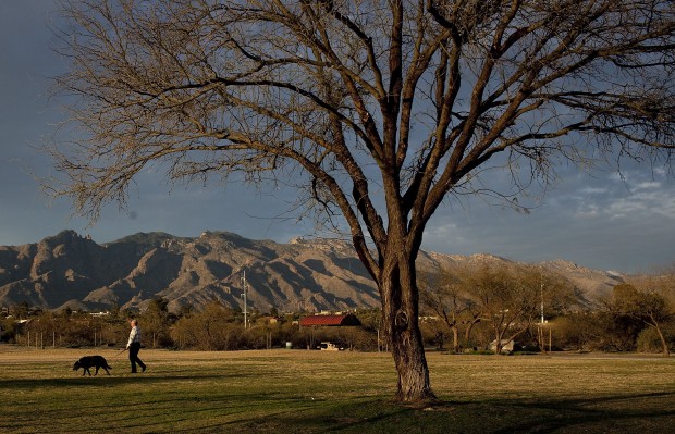 Park debuts all sorts of amenities   