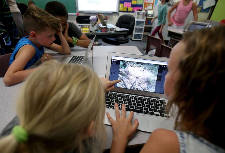 Wildlife camera grant
