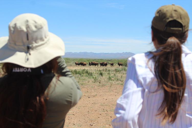 BioBlitzers catalog wildlife in U.S., Mexico as walls go up along border