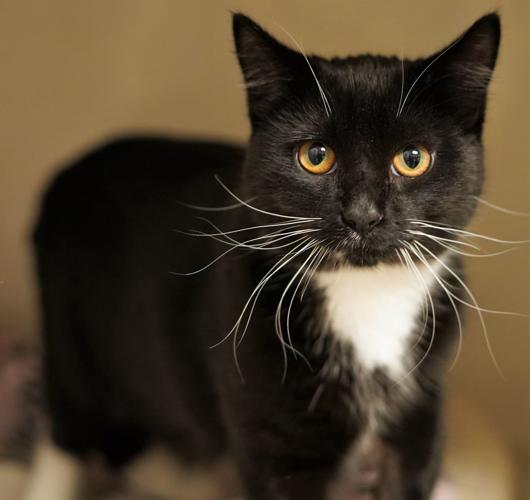 Adopt a friend: Ebby