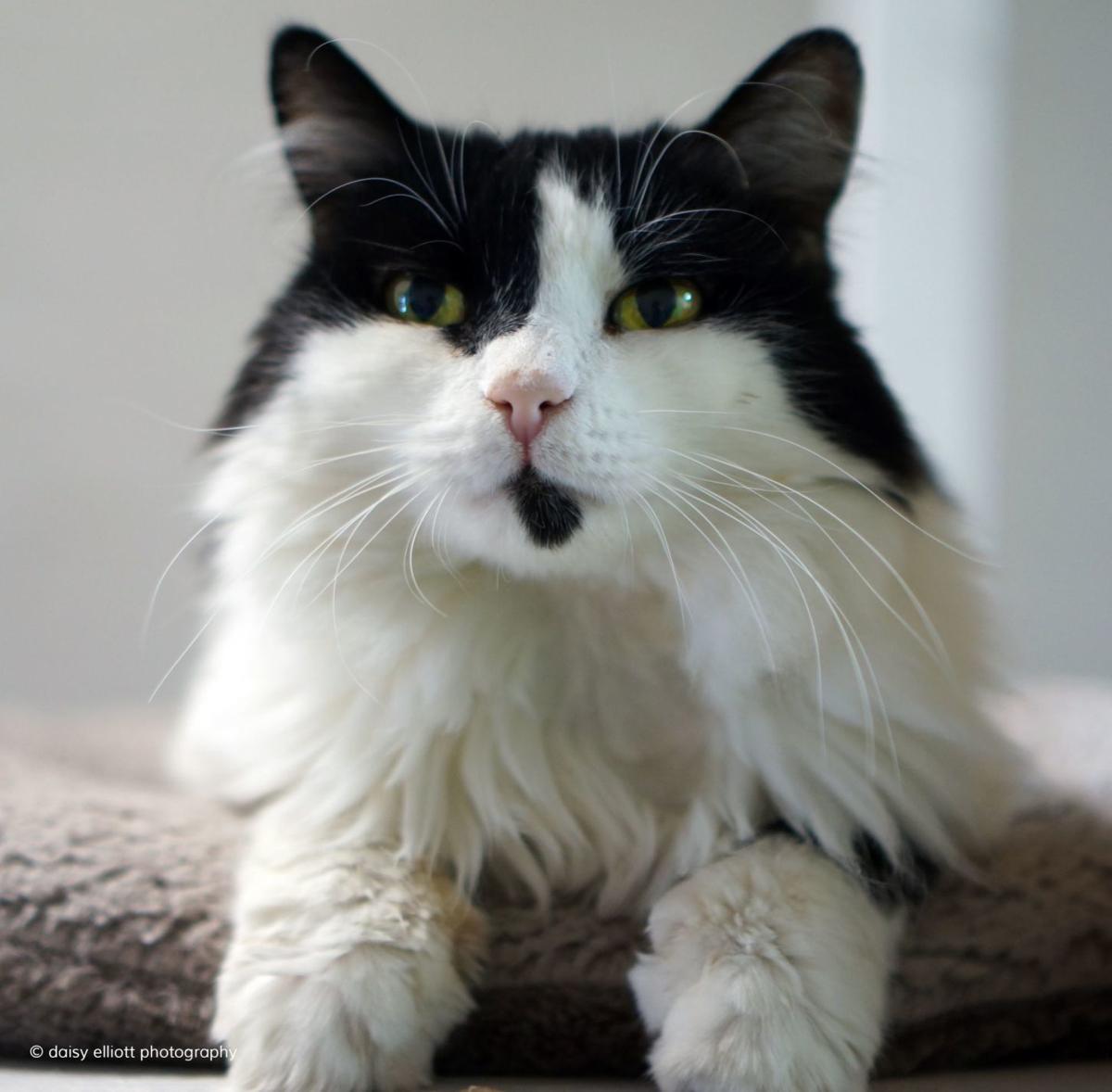 Teen Leaders Against Hunger Workshop Kids Club At Hermitage And Science Saturday With Horses Entertainment Tucson Com