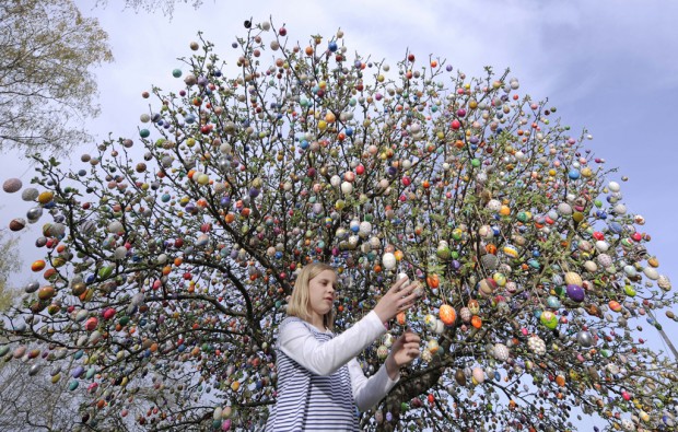 Four decades of decorated Easter eggs festoon apple tree   